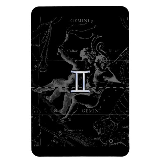 Chrome Style Gemini Zodiac Sign on Hevelius Magneet (Verticaal)