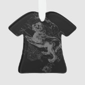 Chrome Style Leo Zodiac Sign on Hevelius Ornament (achterkant)