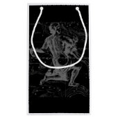 Chrome zoals Aquarius Zodiac Sign on Hevelius 1690 Klein Cadeauzakje (Achterkant)