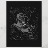 Chrome zoals Capricorn Zodiac Sign on Hevelius 169 (Voorkant)