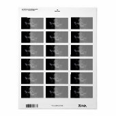 Chrome zoals Capricorn Zodiac Sign on Hevelius Etiket (Full Sheet)