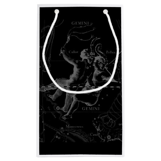 Chrome zoals Gemini Zodiac Sign on Hevelius Klein Cadeauzakje (Achterkant)