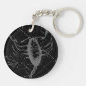 Chrome zoals Scorpio Zodiac Symbol op Hevelius Sleutelhanger (Achterkant)