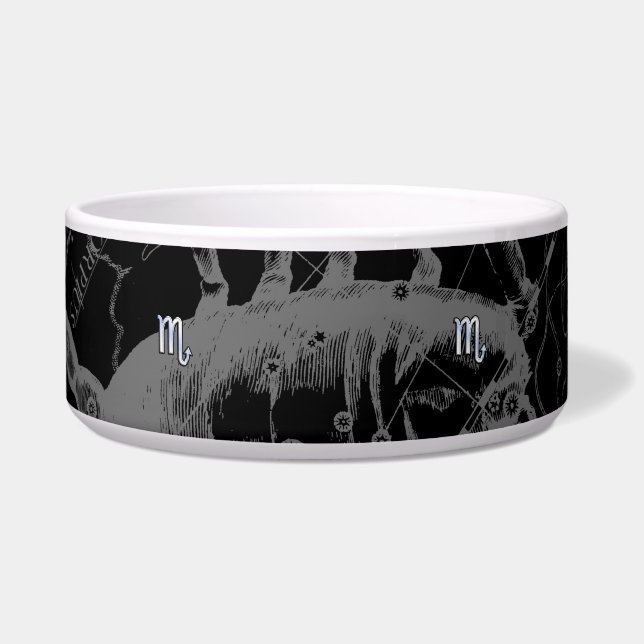 Chrome zoals Scorpio Zodiac Symbol op Hevelius Voerbakje (Voorkant)