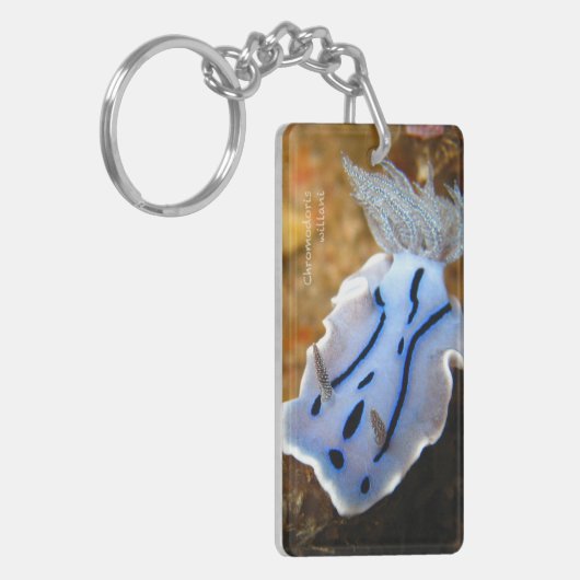 Chromodoris willani Rechthoek (dubbelzijdig) Sleutelhanger (Voorkant Links)