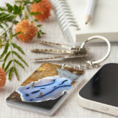 Chromodoris willani Rechthoek (dubbelzijdig) Sleutelhanger (Voorkant Rechts)