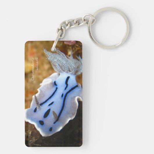 Chromodoris willani Rechthoek (dubbelzijdig) Sleutelhanger (achterkant)