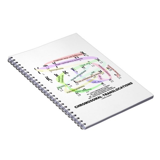 Chromosomal Translocations (Karyogram) Notitieboek (Rechterzijde)
