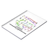 Chromosomal Translocations (Karyogram) Notitieboek (Linkerzijde)