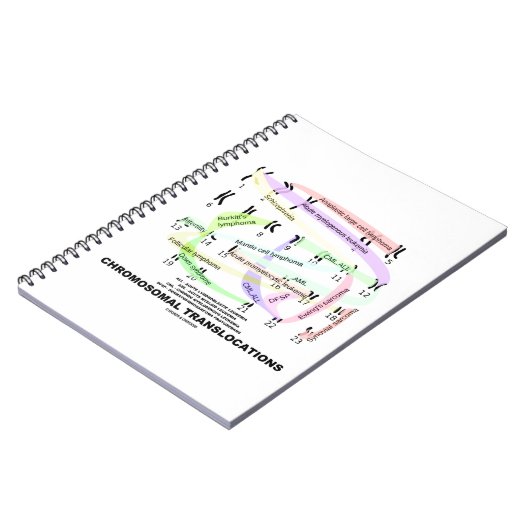Chromosomal Translocations (Karyogram) Notitieboek (Linkerzijde)