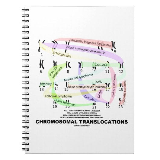 Chromosomal Translocations (Karyogram) Notitieboek (Voorkant)