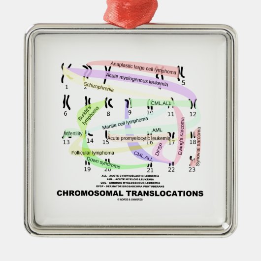 Chromosomale translocaties (Karyogram) Metalen Ornament (Voorkant)