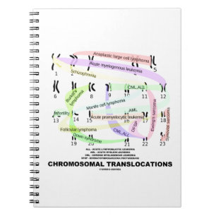 Chromosomale translocaties (Karyogram) Notitieboek