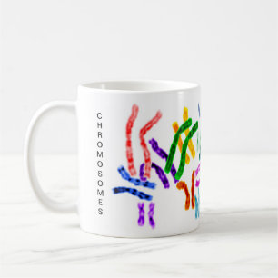 chromosomen, DNA-moleculen Koffiemok