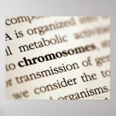 Chromosomen op pagina poster (Voorkant)