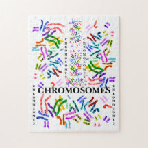 Chromosomen uitdagend Fun voor de leeftijd van 10 