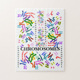 Chromosomen uitdagend Fun voor de leeftijd van 10 Legpuzzel