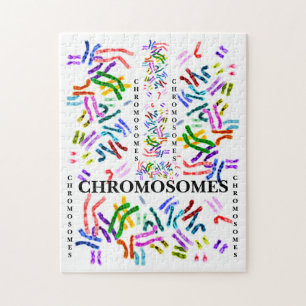 Chromosomen uitdagend Fun voor de leeftijd van 10  Legpuzzel