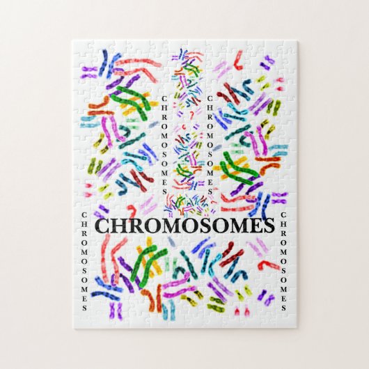 Chromosomen uitdagend Fun voor de leeftijd van 10  Legpuzzel (Verticaal)