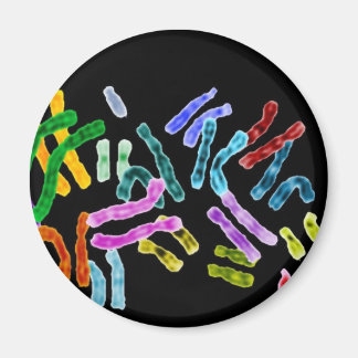 Chromosomzwarte achtergrond magneet