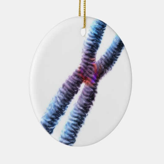 chromosoom keramisch ornament (Rechts)