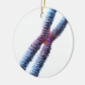 chromosoom keramisch ornament (Links)