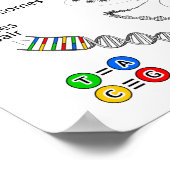 chromosoom poster (Hoek)