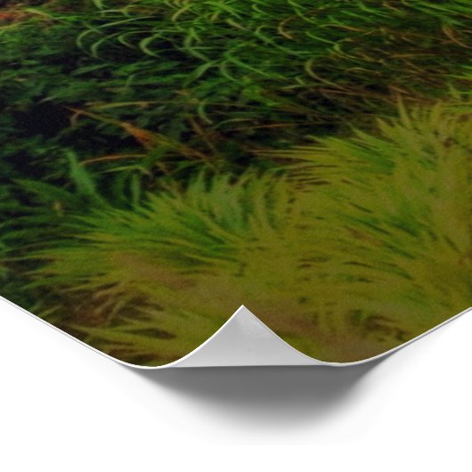 Chronicles 7:14 poster (Hoek)