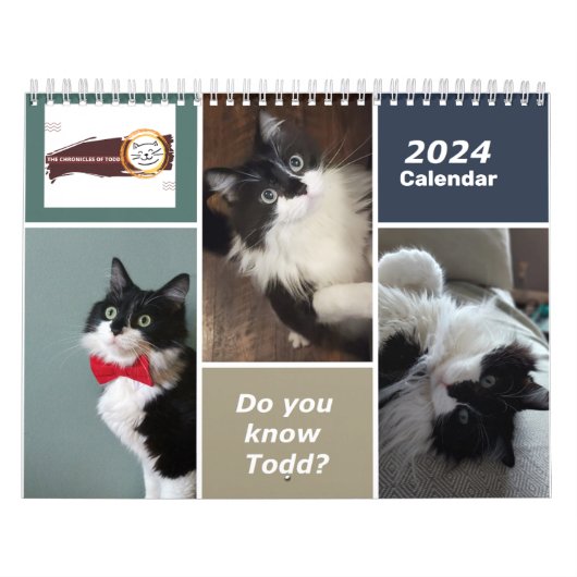 Chronicles of Todd 2024 Calendar Kalender (Hoes)