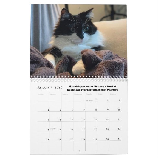 Chronicles of Todd 2024 Calendar Kalender (Jan 2026)