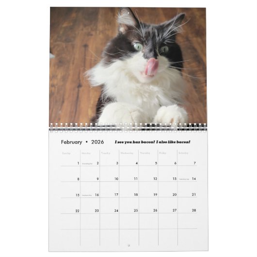 Chronicles of Todd 2024 Calendar Kalender (Feb 2026)