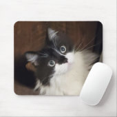 Chronicles van Todd - Muismat (Met muis)