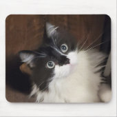 Chronicles van Todd - Muismat (Voorkant)