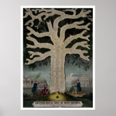 Chronologische boom van de Ierse geschiedenis Poster (Voorkant)