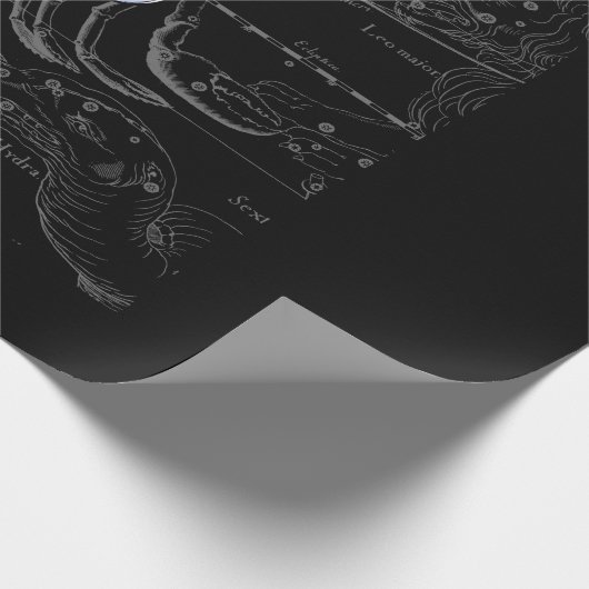 Chroom als kankerdierentuin op Hevelius Cadeaupapier (Hoek)