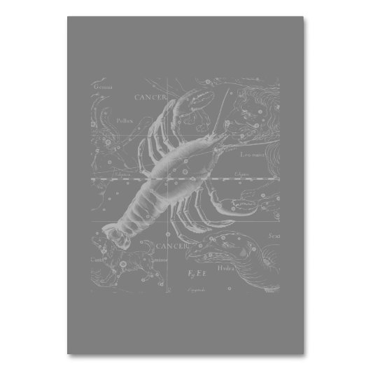 Chroom als kankerdierentuin op Hevelius Kaart (Achterkant)