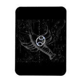 Chroom als kankerdierentuin op Hevelius Magneet (Verticaal)