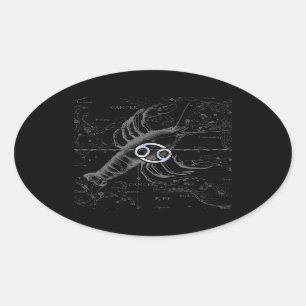 Chroom als kankerdierentuin op Hevelius Ovale Sticker