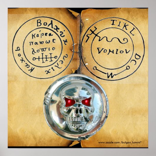 CHROOM SKULL EN ANTIEK PIRATEN BEHANDELINGSKAART POSTER (Voorkant)