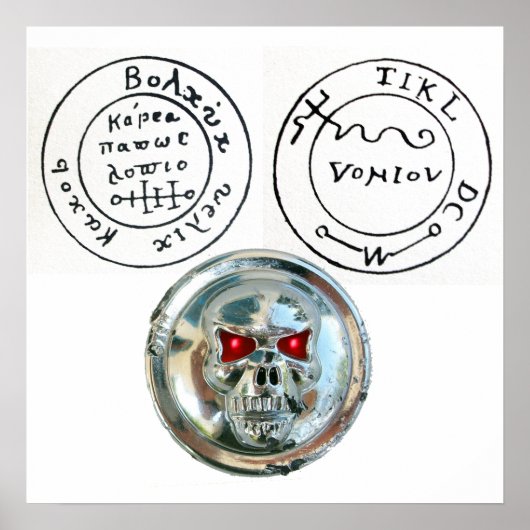 CHROOM SKULL EN ANTIEK PIRATEN BEHANDELINGSKAART POSTER (Voorkant)