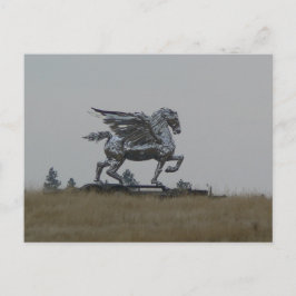Chroompaard Briefkaart