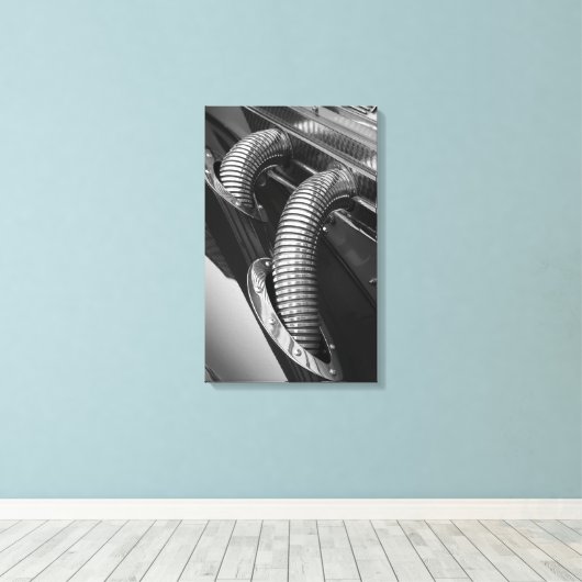 Chroomslangen Canvas Afdruk (Insitu (Houten vloer))