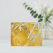 chroomstof briefkaart (Staand voorkant)