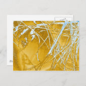 chroomstof briefkaart (Voorkant / Achterkant)