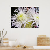 Chrybursta Poster (Keuken)