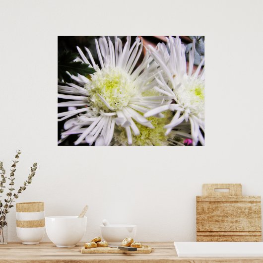 Chrybursta Poster (Keuken)