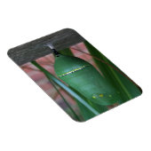 Chrysalis van de Monarch Butterfly Fotografie Magneet (Rechterzijde)