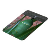 Chrysalis van de Monarch Butterfly Fotografie Magneet (Linkerzijde)