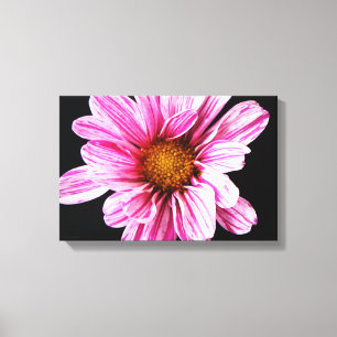 Chrysant Bloem 16.50x11 (41.25x27.5cm) WACM Canvas Afdruk