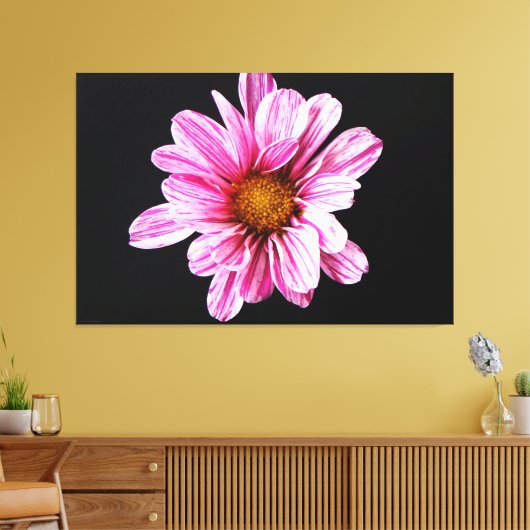Chrysant Bloem 60x40 (150x100cm) waccna Canvas Afdruk (Insitu (Woonkamer))